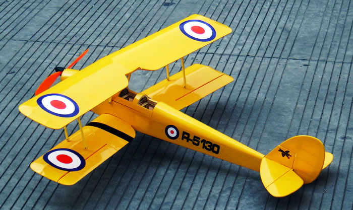 Tiger Moth Electric RC Plane